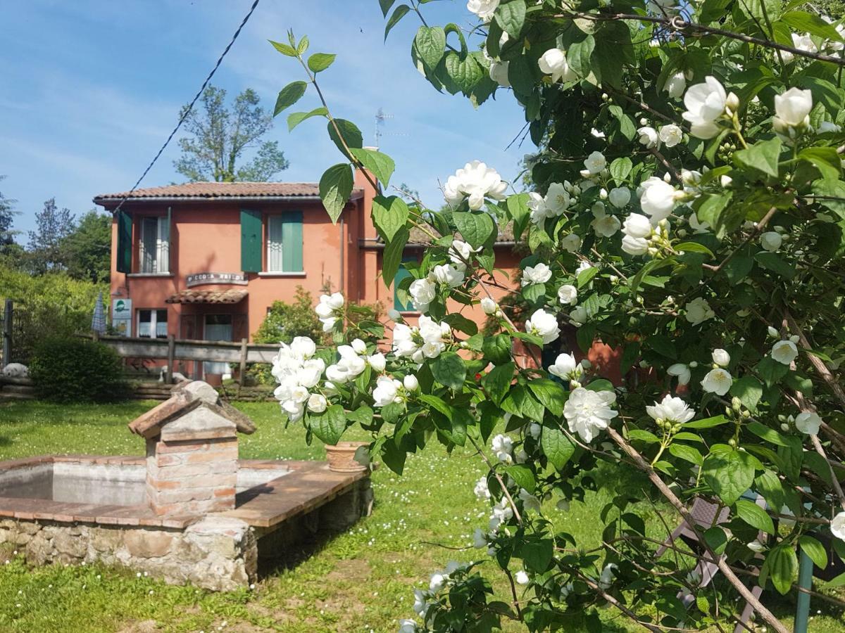 萨索马可尼Agriturismo Piccola Raieda别墅 外观 照片