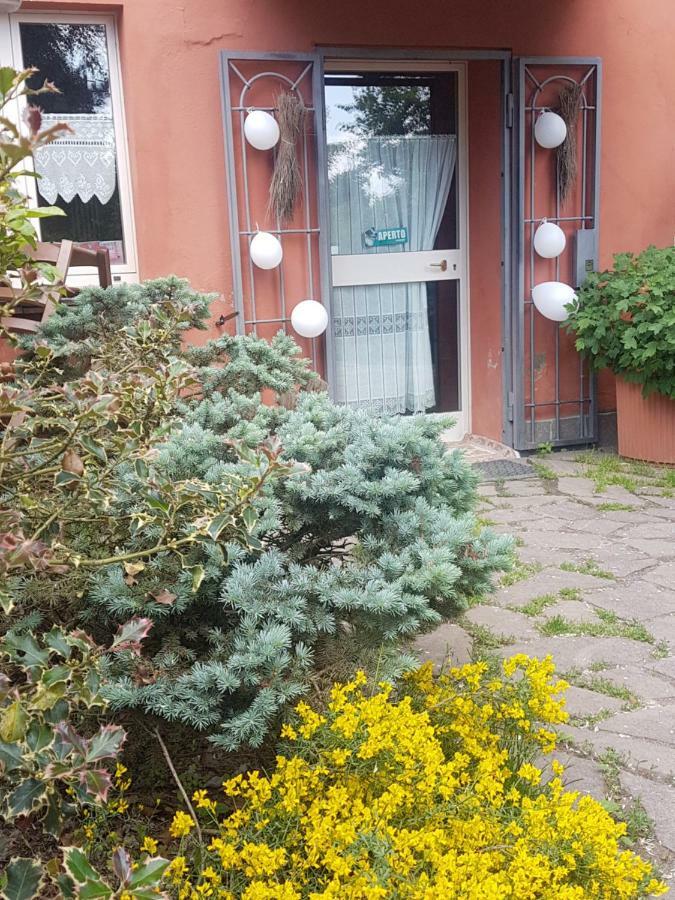萨索马可尼Agriturismo Piccola Raieda别墅 外观 照片