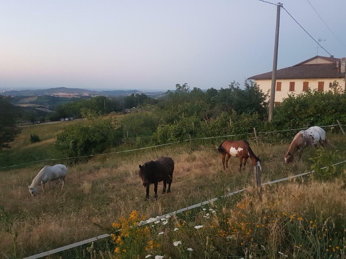 萨索马可尼Agriturismo Piccola Raieda别墅 外观 照片