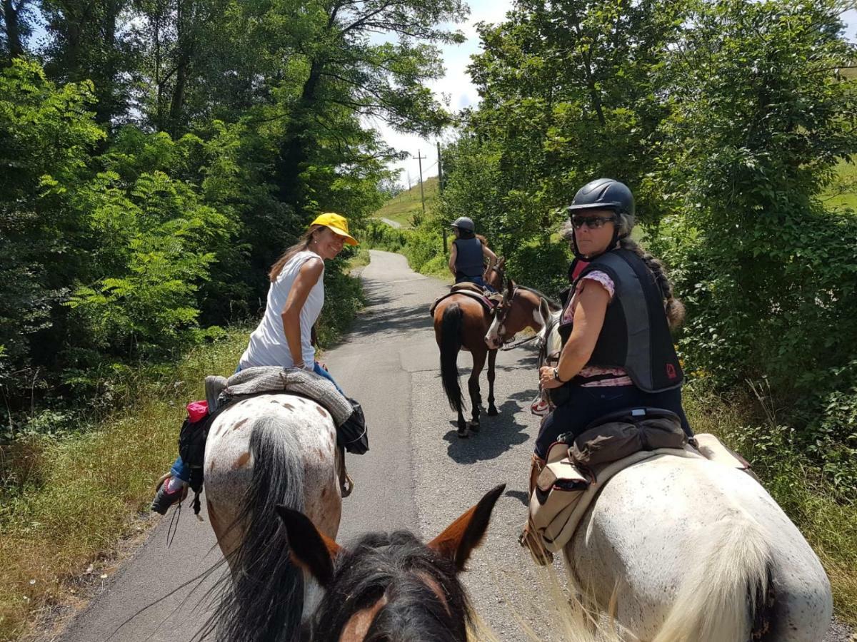 萨索马可尼Agriturismo Piccola Raieda别墅 外观 照片