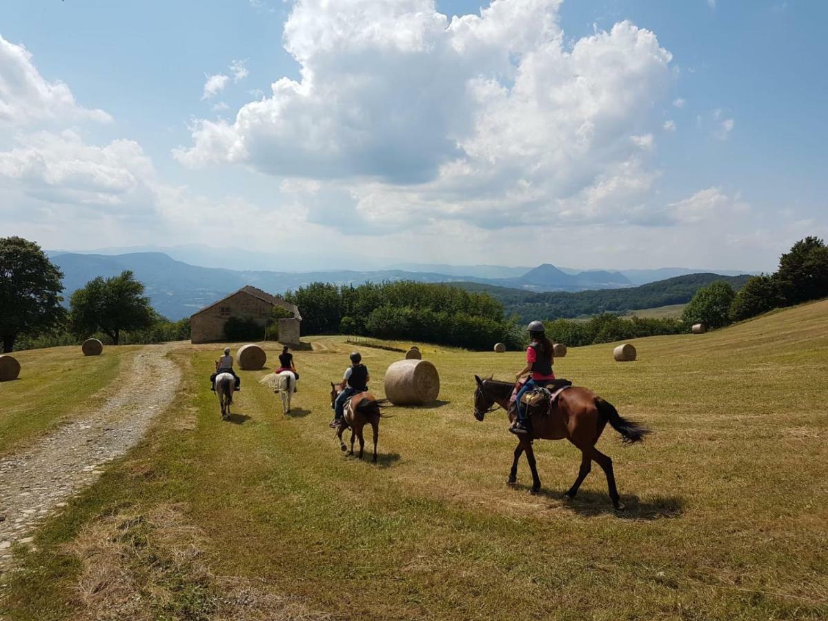 萨索马可尼Agriturismo Piccola Raieda别墅 外观 照片