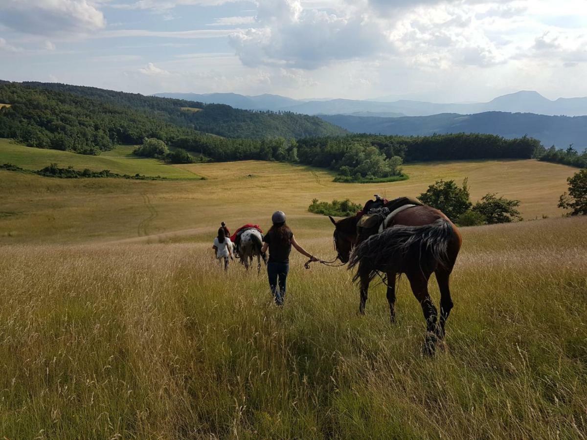 萨索马可尼Agriturismo Piccola Raieda别墅 外观 照片
