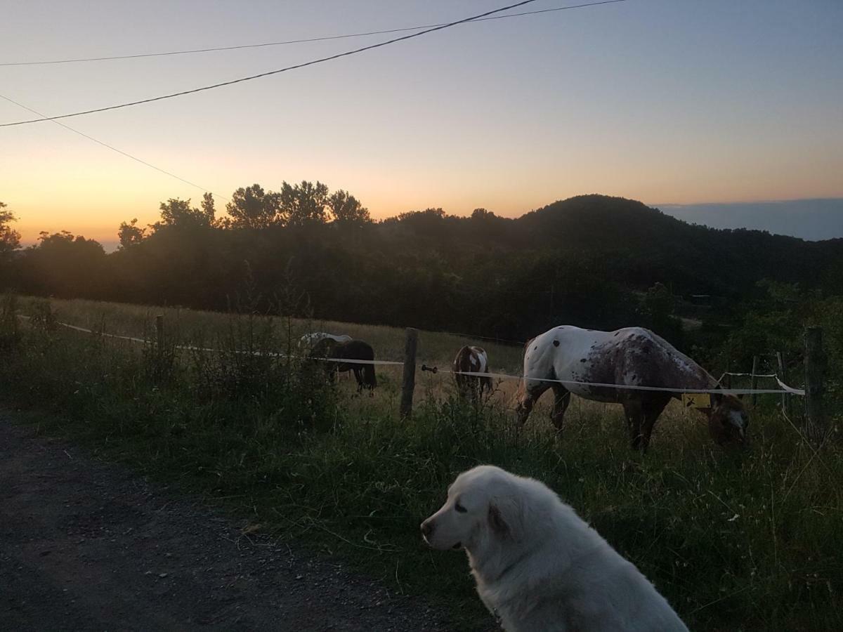 萨索马可尼Agriturismo Piccola Raieda别墅 外观 照片