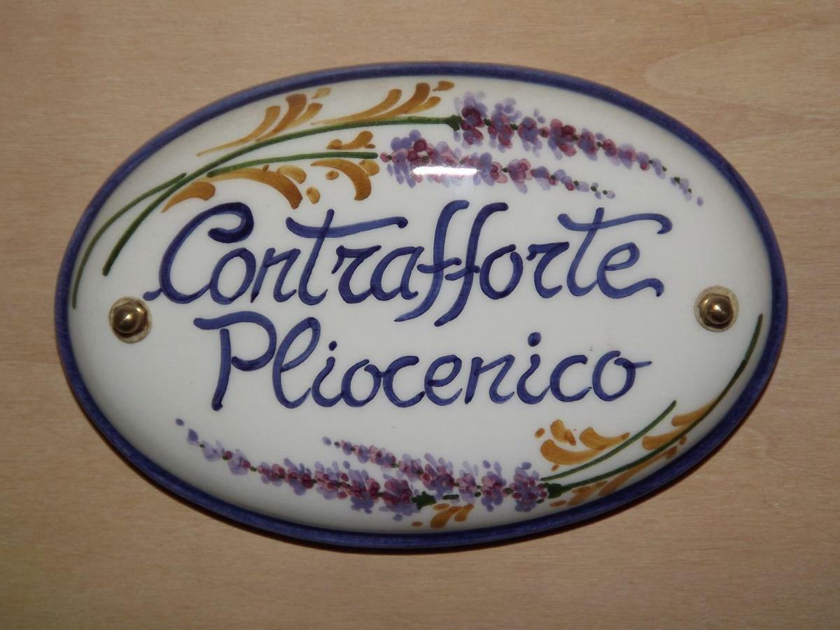 萨索马可尼Agriturismo Piccola Raieda别墅 外观 照片