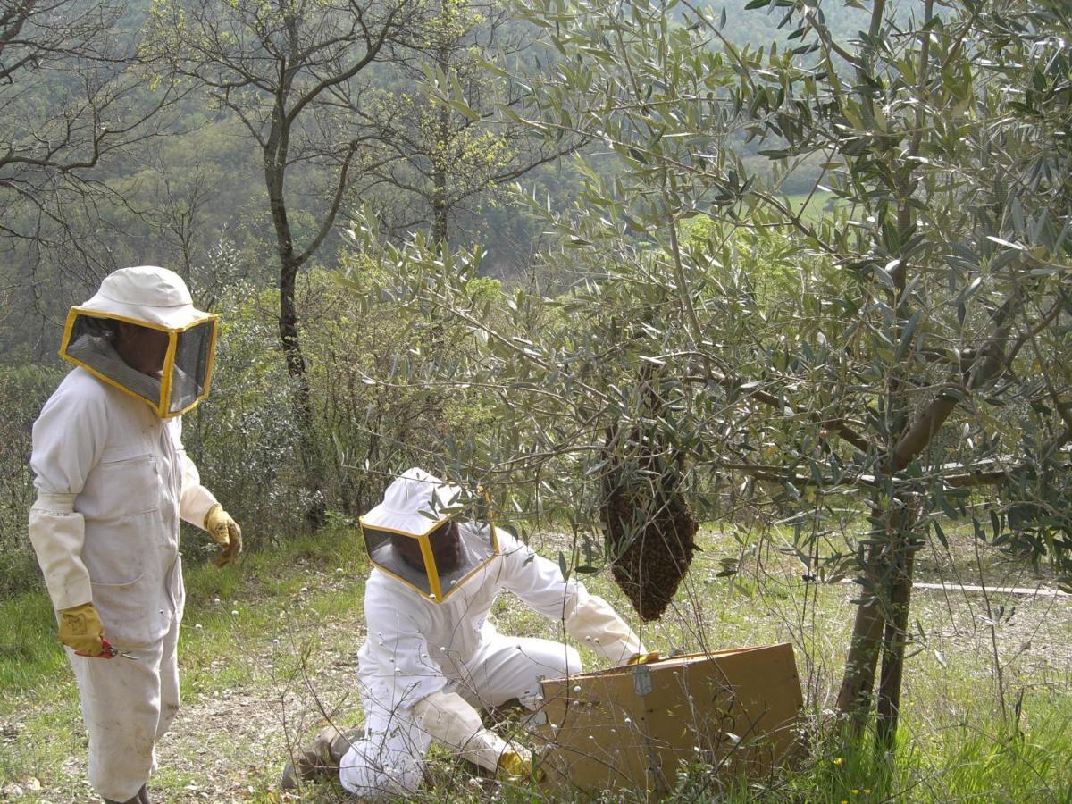 萨索马可尼Agriturismo Piccola Raieda别墅 外观 照片