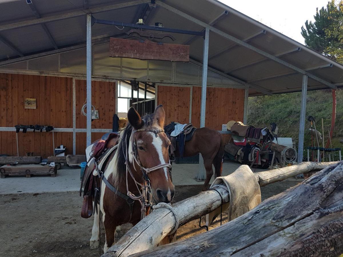萨索马可尼Agriturismo Piccola Raieda别墅 外观 照片