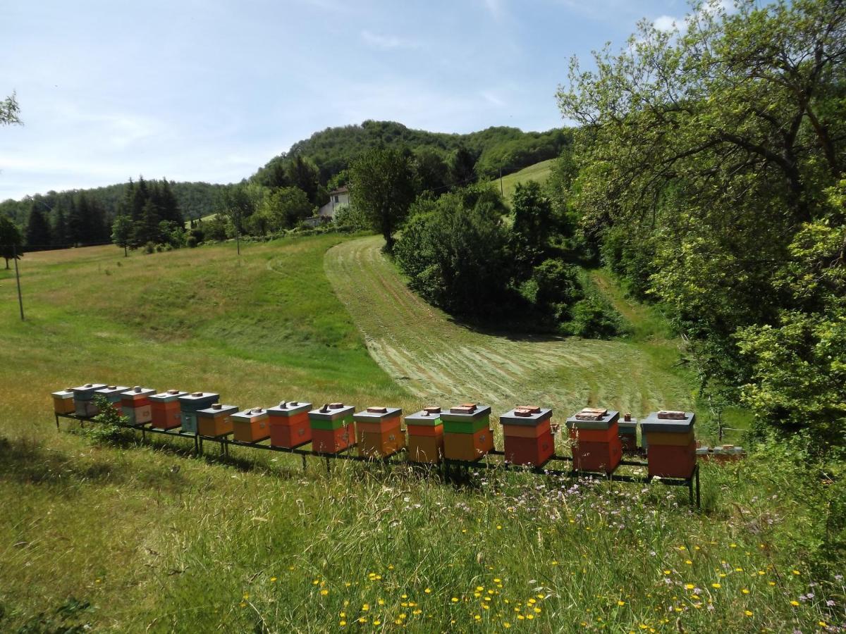 萨索马可尼Agriturismo Piccola Raieda别墅 外观 照片